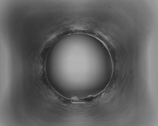 X0000111381303200907101118