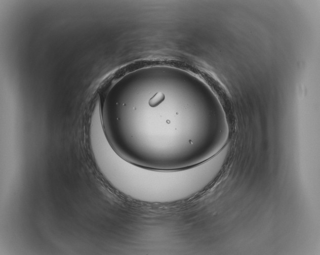 X0000111381304200907101118