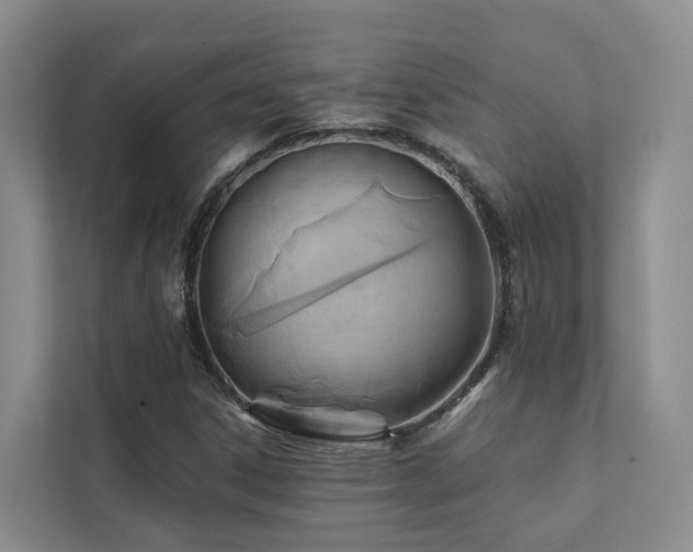 X0000111381306200907101118