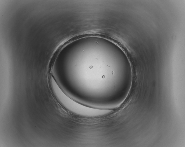 X0000111381308200907101118
