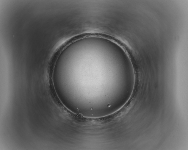 X0000111381311200907101118