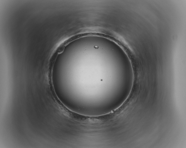 X0000111381312200907101118