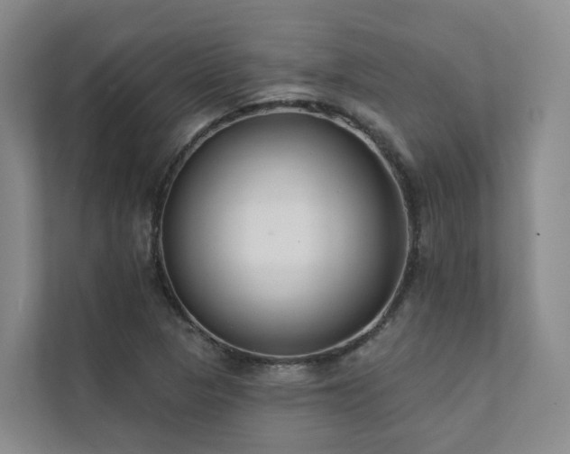 X0000111381313200907101118