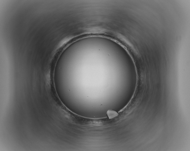 X0000111381315200907101118