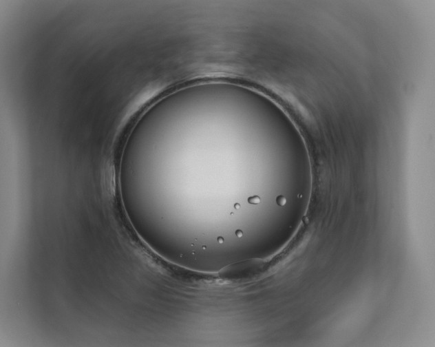 X0000111381317200907101118