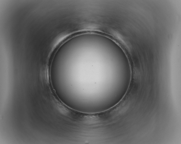 X0000111381320200907101118