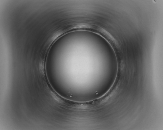 X0000111381321200907101118