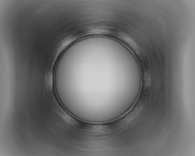 X0000111381322200907101118