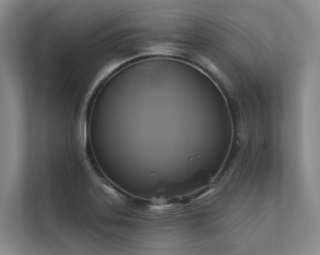 X0000111381323200907101118