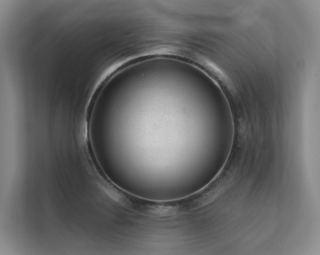 X0000111381324200907101118