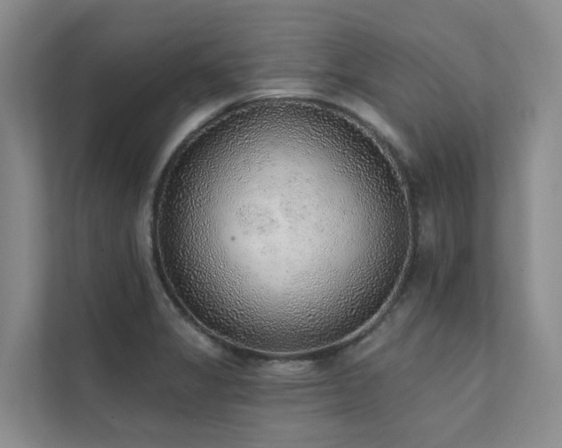 X0000111381325200907101118