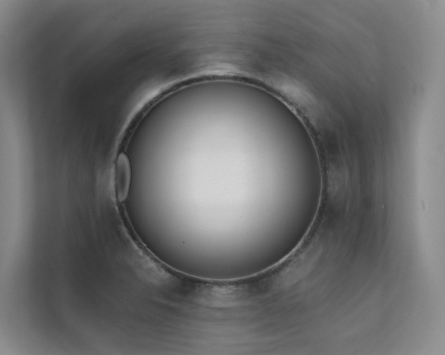 X0000111381326200907101118