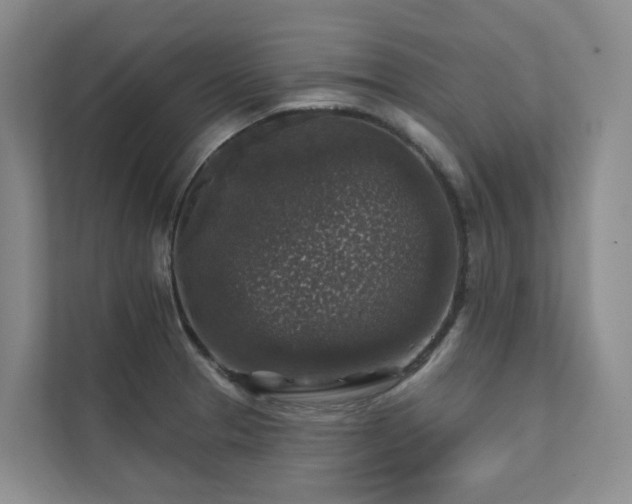 X0000111381329200907101118