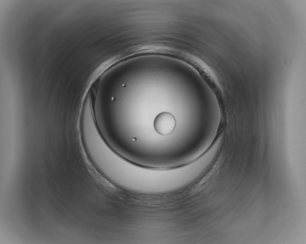 X0000111381330200907101118
