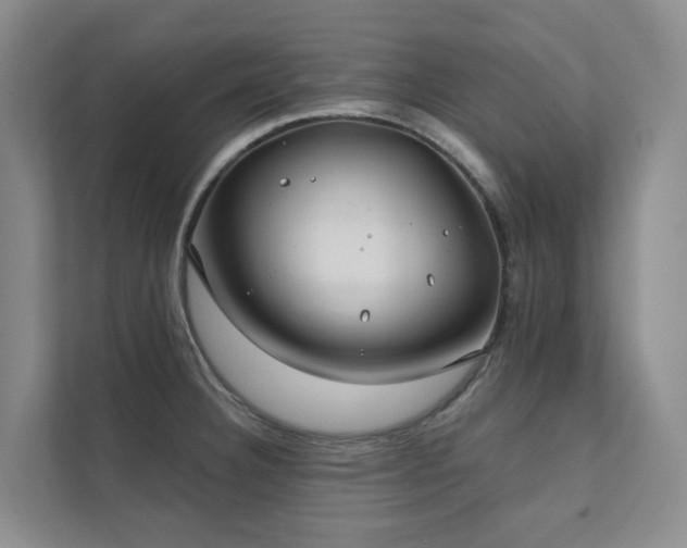 X0000111381332200907101118