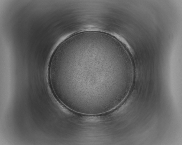 X0000111381333200907101118