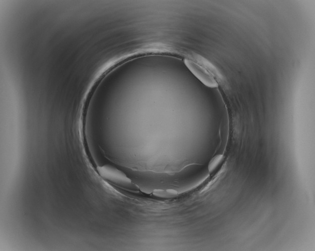 X0000111381334200907101118