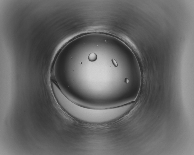 X0000111381336200907101118