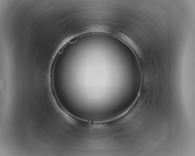 X0000111381339200907101118