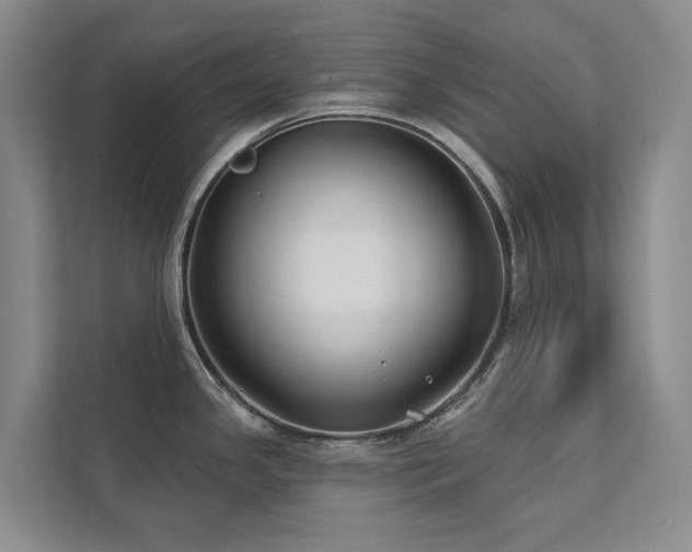 X0000111381341200907101118