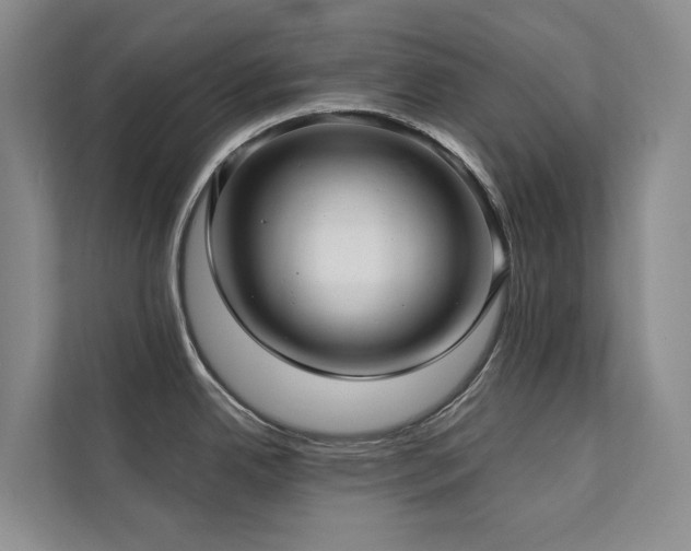 X0000111381342200907101118