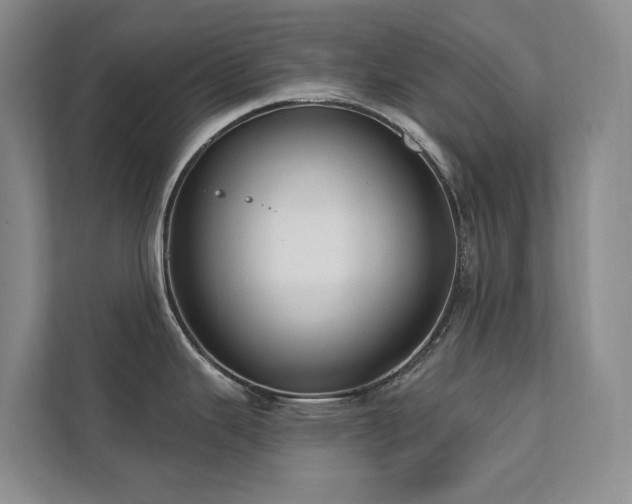 X0000111381343200907101118
