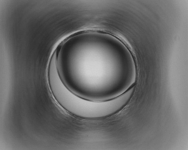 X0000111381344200907101118