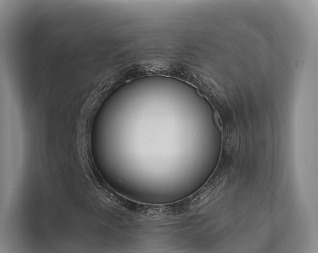 X0000111381345200907101118
