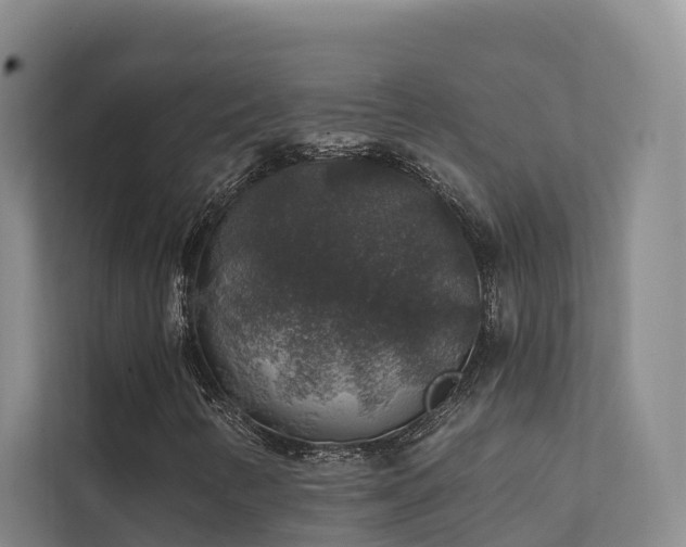 X0000111381346200907101118