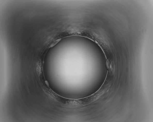 X0000111381348200907101118