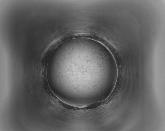 X0000111381351200907101118