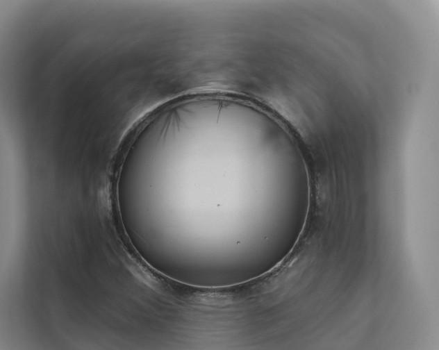 X0000111381356200907101117