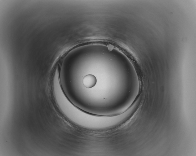 X0000111381357200907101117
