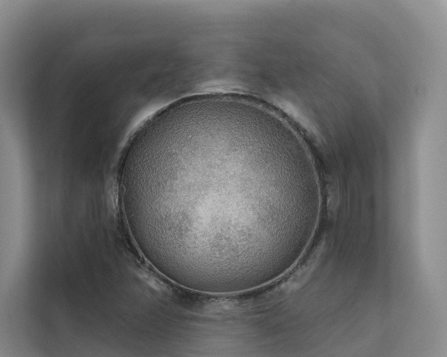X0000111381358200907101117