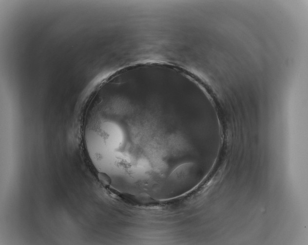 X0000111381359200907101117