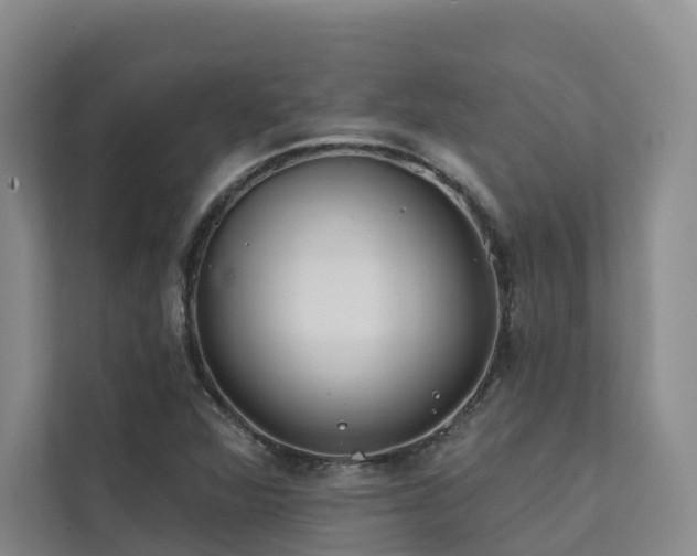 X0000111381360200907101117