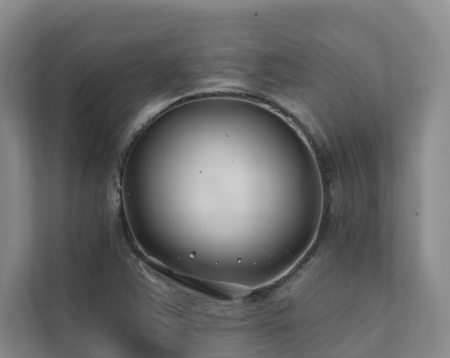 X0000111381363200907101117