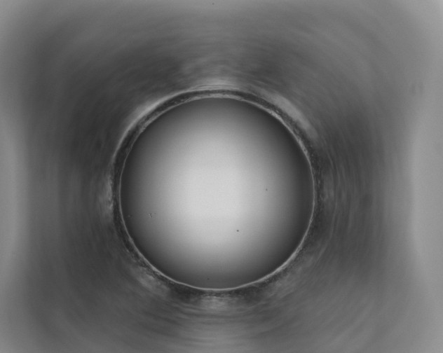 X0000111381364200907101117