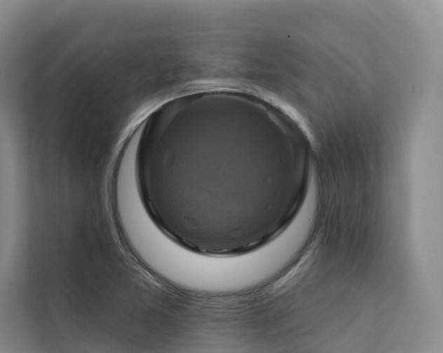 X0000111381365200907101117