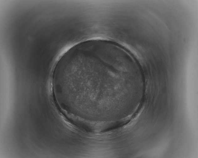 X0000111381367200907101117