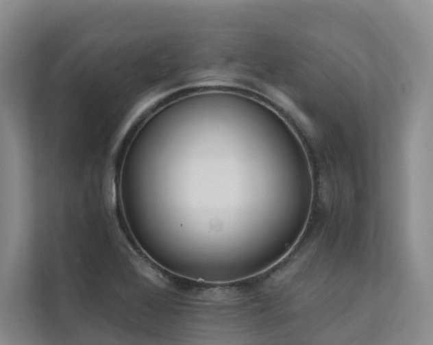 X0000111381368200907101117