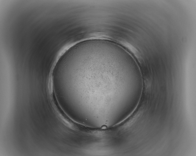 X0000111381371200907101117