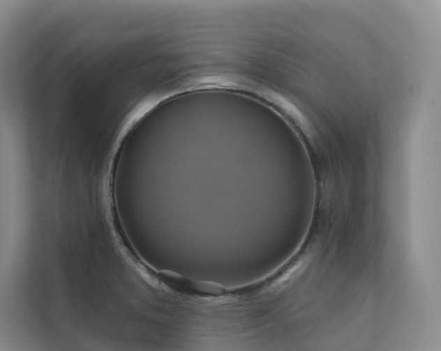 X0000111381373200907101117