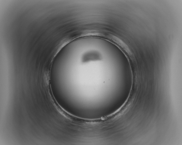 X0000111381377200907101117