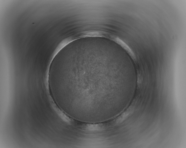 X0000111381378200907101117