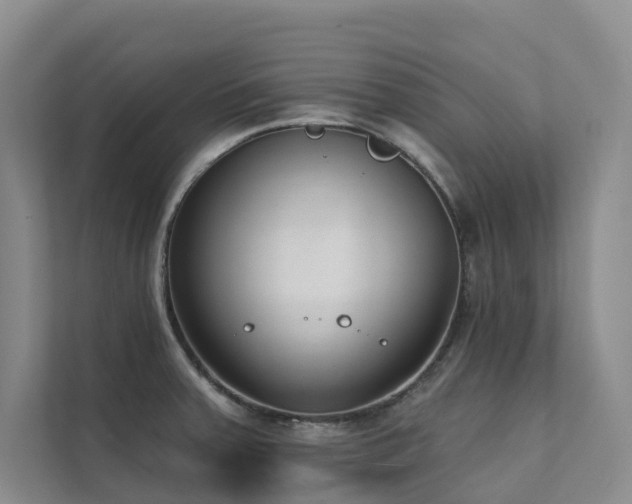 X0000111381379200907101117