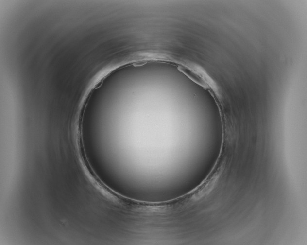 X0000111381381200907101117