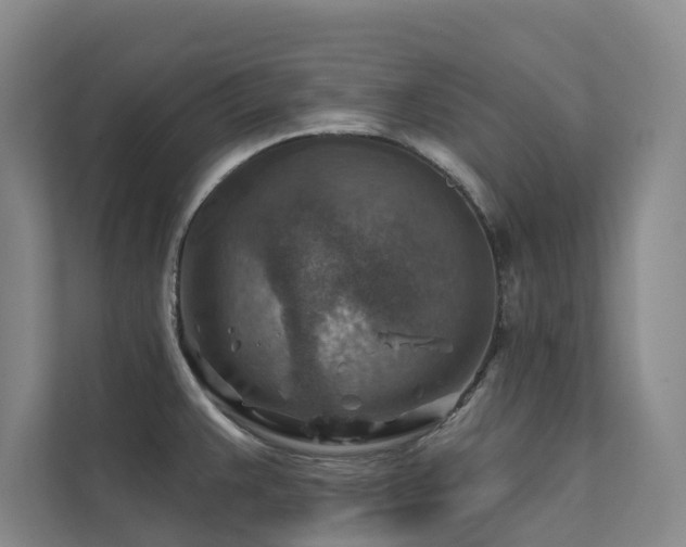 X0000111381383200907101117