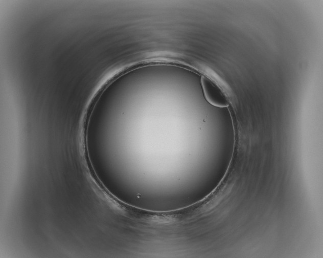 X0000111381384200907101117