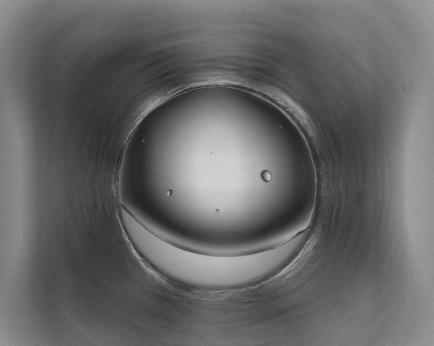 X0000111381385200907101117